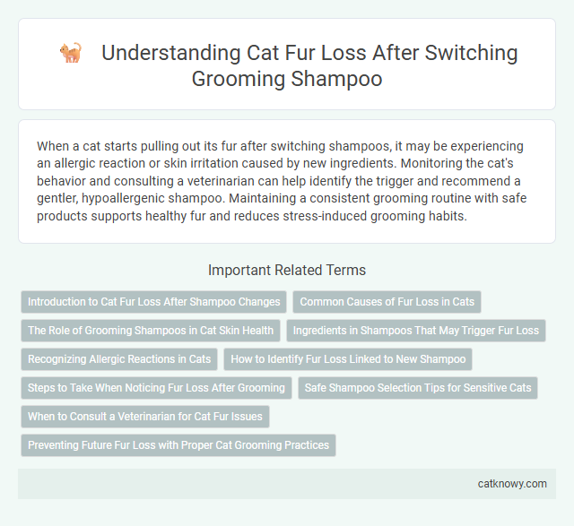 Understanding Cat Fur Loss After Switching Grooming Shampoo