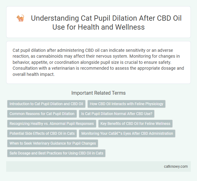 Understanding Cat Pupil Dilation After CBD Oil Use for Health and Wellness