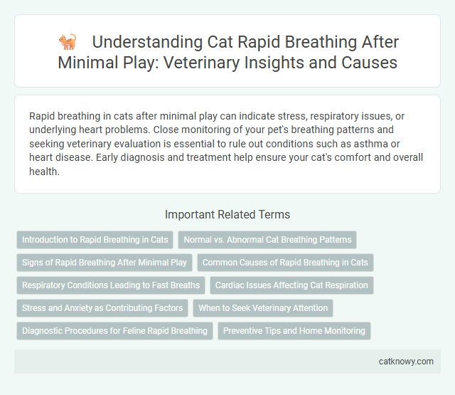 Understanding Cat Rapid Breathing After Minimal Play: Veterinary Insights and Causes