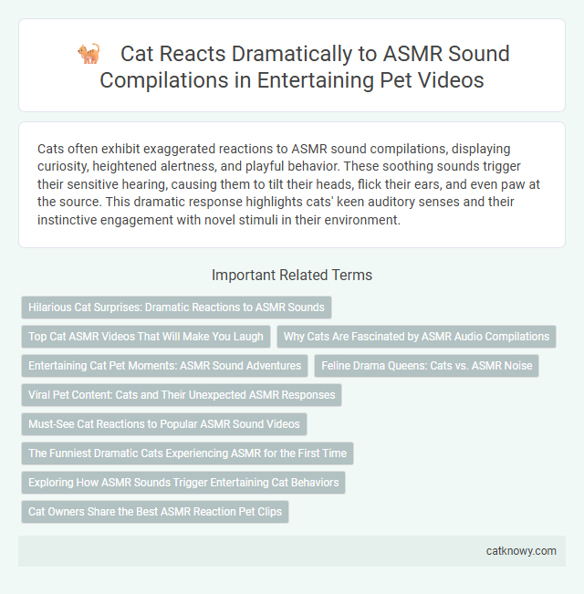 Cat Reacts Dramatically to ASMR Sound Compilations in Entertaining Pet Videos