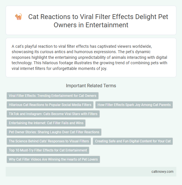 Cat Reactions to Viral Filter Effects Delight Pet Owners in Entertainment