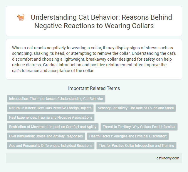 Understanding Cat Behavior: Reasons Behind Negative Reactions to Wearing Collars