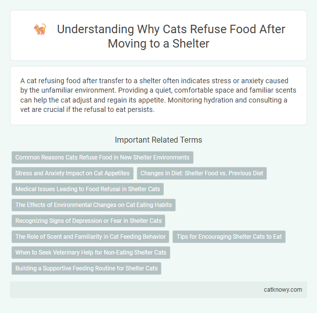 Understanding Why Cats Refuse Food After Moving to a Shelter