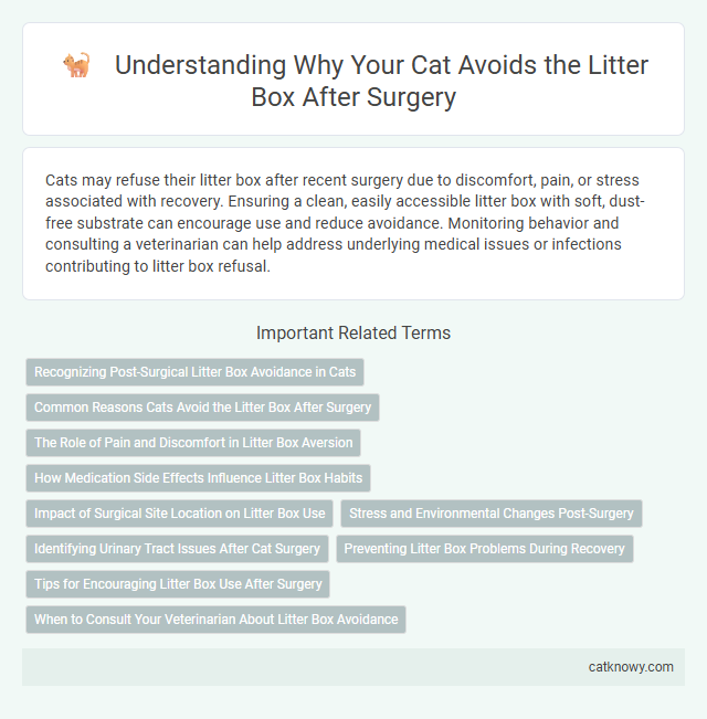 Understanding Why Your Cat Avoids the Litter Box After Surgery