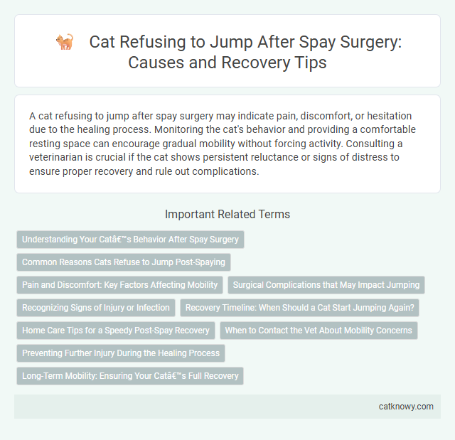 Cat Refusing to Jump After Spay Surgery: Causes and Recovery Tips