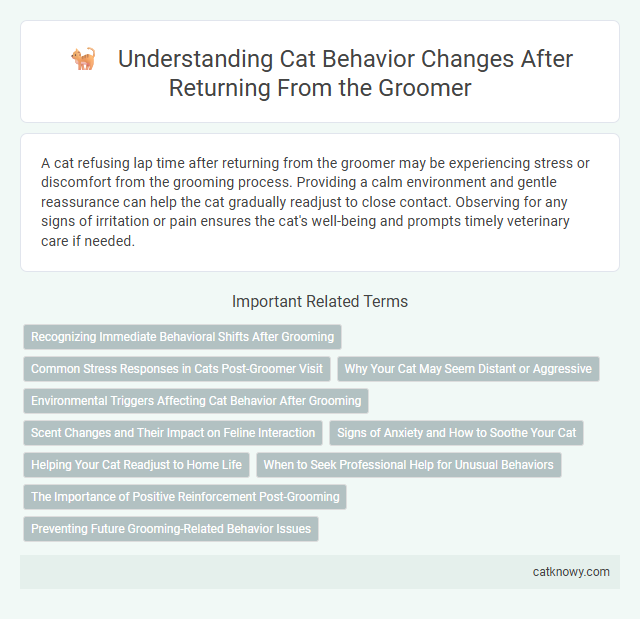 Understanding Cat Behavior Changes After Returning From the Groomer