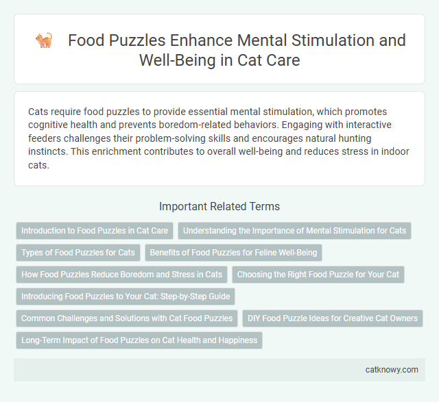 Food Puzzles Enhance Mental Stimulation and Well-Being in Cat Care