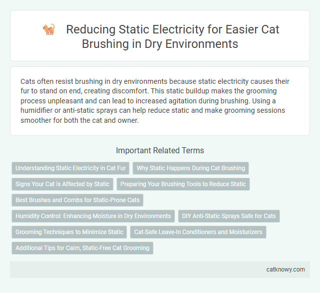 Reducing Static Electricity for Easier Cat Brushing in Dry Environments