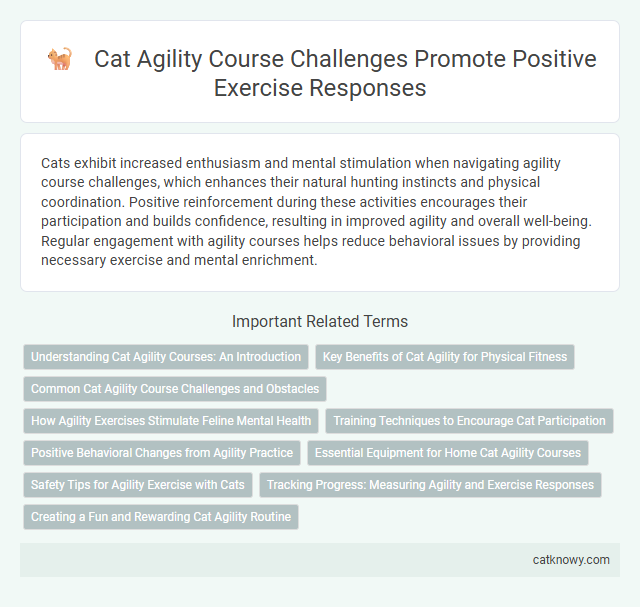 Cat Agility Course Challenges Promote Positive Exercise Responses