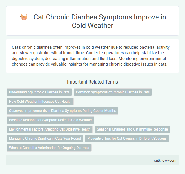 Cat Chronic Diarrhea Symptoms Improve in Cold Weather