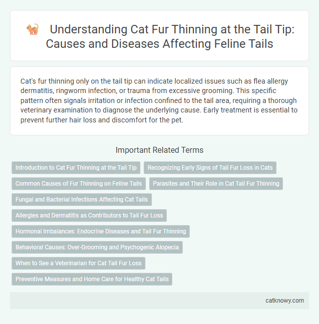 Understanding Cat Fur Thinning at the Tail Tip: Causes and Diseases Affecting Feline Tails