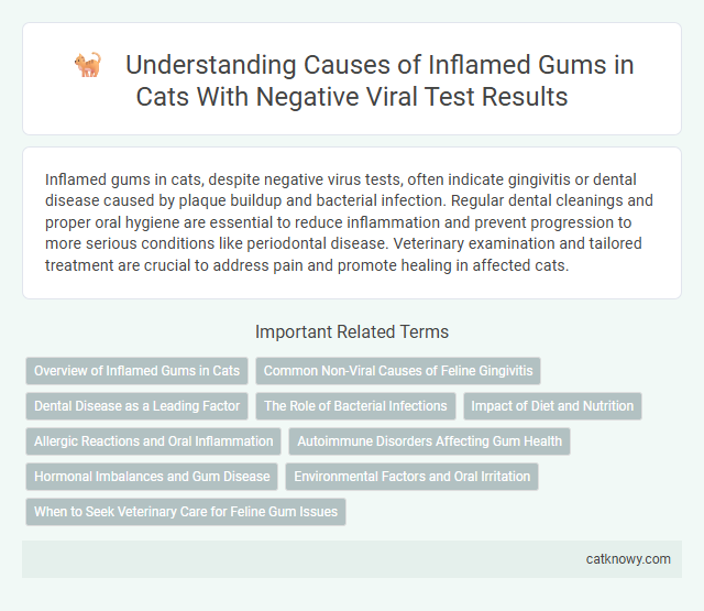 Understanding Causes of Inflamed Gums in Cats With Negative Viral Test Results