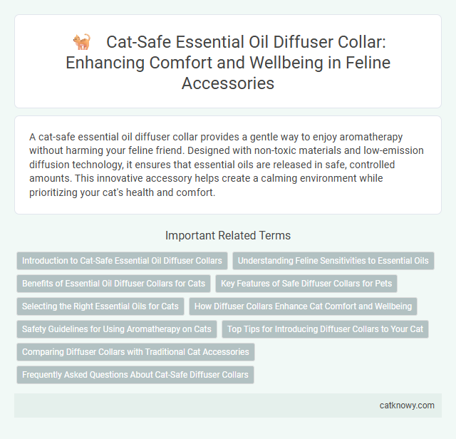 Cat-Safe Essential Oil Diffuser Collar: Enhancing Comfort and Wellbeing in Feline Accessories