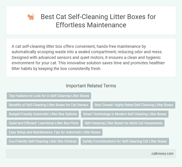 Best Cat Self-Cleaning Litter Boxes for Effortless Maintenance