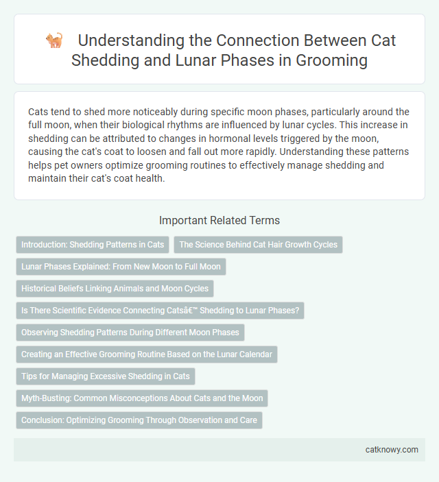 Understanding the Connection Between Cat Shedding and Lunar Phases in Grooming