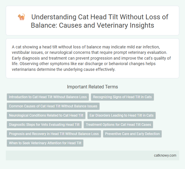 Understanding Cat Head Tilt Without Loss of Balance: Causes and Veterinary Insights