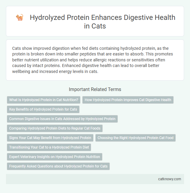 Hydrolyzed Protein Enhances Digestive Health in Cats