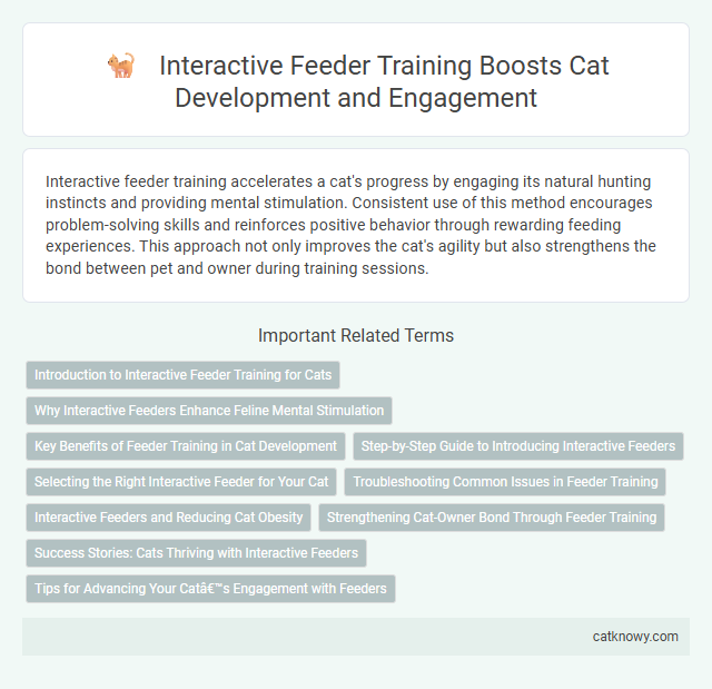 Interactive Feeder Training Boosts Cat Development and Engagement