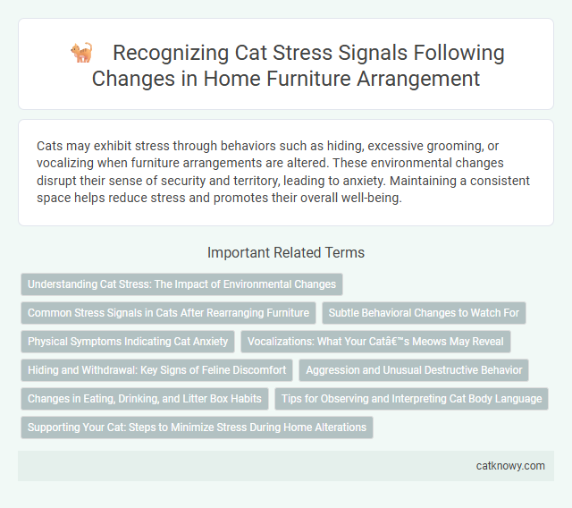 Recognizing Cat Stress Signals Following Changes in Home Furniture Arrangement