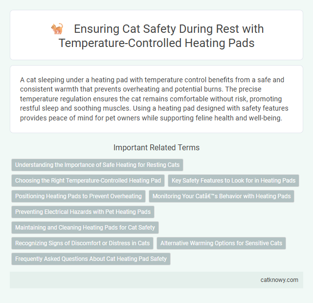 Ensuring Cat Safety During Rest with Temperature-Controlled Heating Pads
