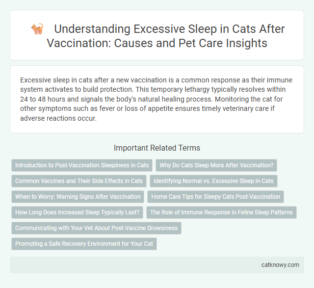 Understanding Excessive Sleep in Cats After Vaccination: Causes and Pet Care Insights