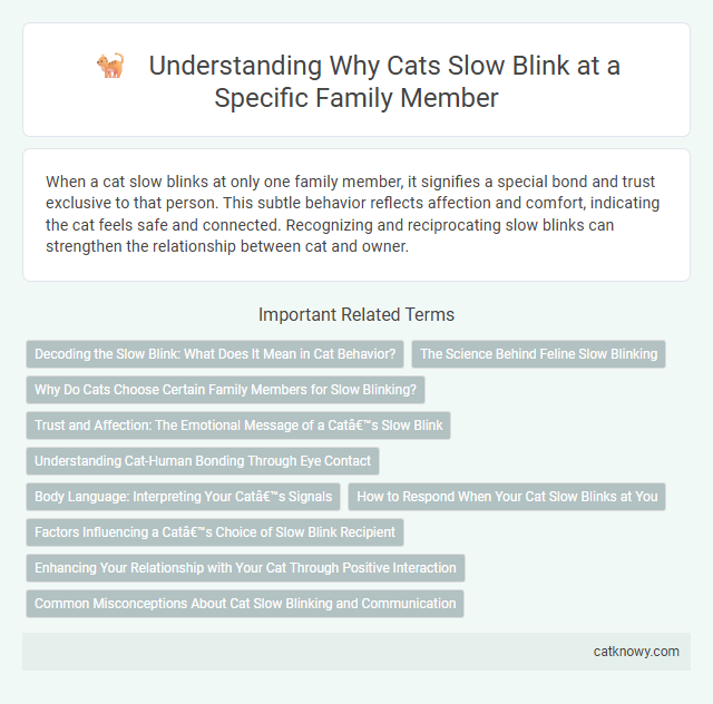 Understanding Why Cats Slow Blink at a Specific Family Member