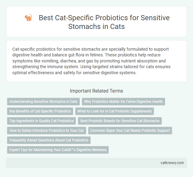 Best Cat-Specific Probiotics for Sensitive Stomachs in Cats