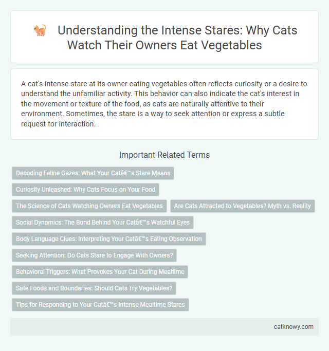 Understanding the Intense Stares: Why Cats Watch Their Owners Eat Vegetables