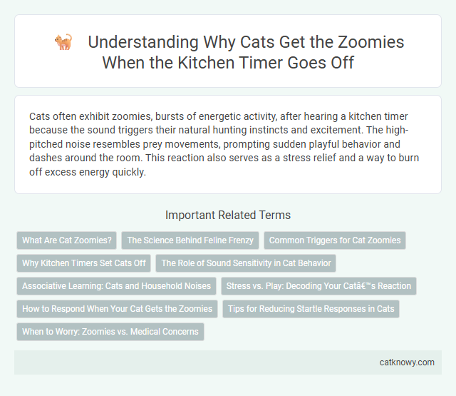 Understanding Why Cats Get the Zoomies When the Kitchen Timer Goes Off
