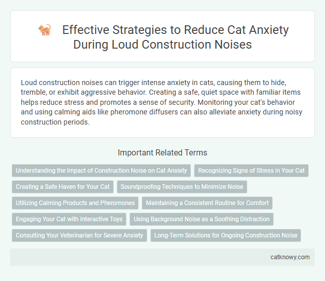 Effective Strategies to Reduce Cat Anxiety During Loud Construction Noises