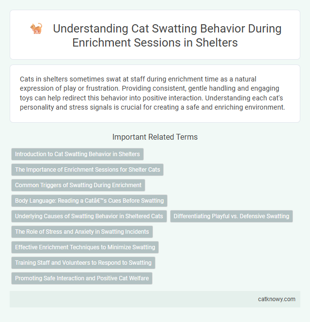 Understanding Cat Swatting Behavior During Enrichment Sessions in Shelters