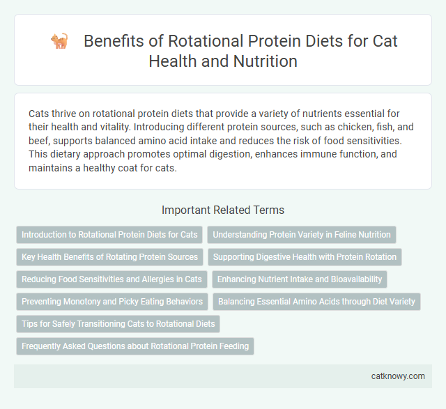 Benefits of Rotational Protein Diets for Cat Health and Nutrition