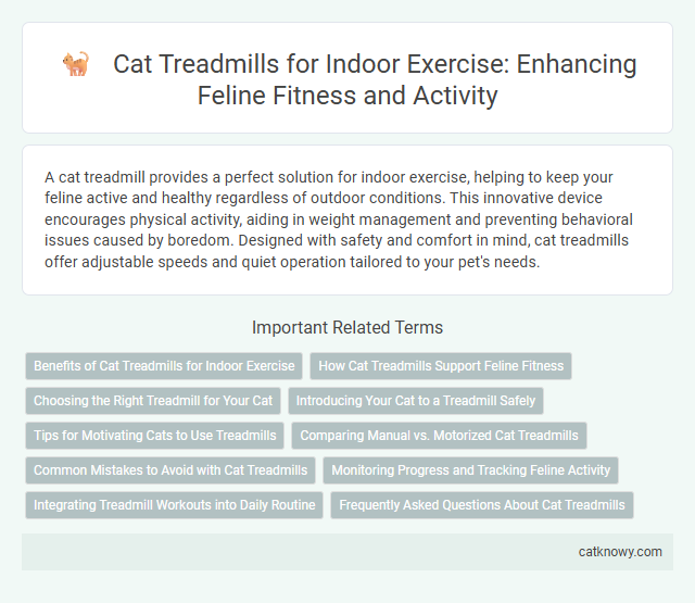 Cat Treadmills for Indoor Exercise: Enhancing Feline Fitness and Activity
