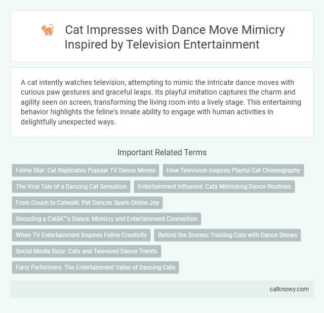 Cat Impresses with Dance Move Mimicry Inspired by Television Entertainment