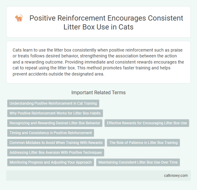 Positive Reinforcement Encourages Consistent Litter Box Use in Cats