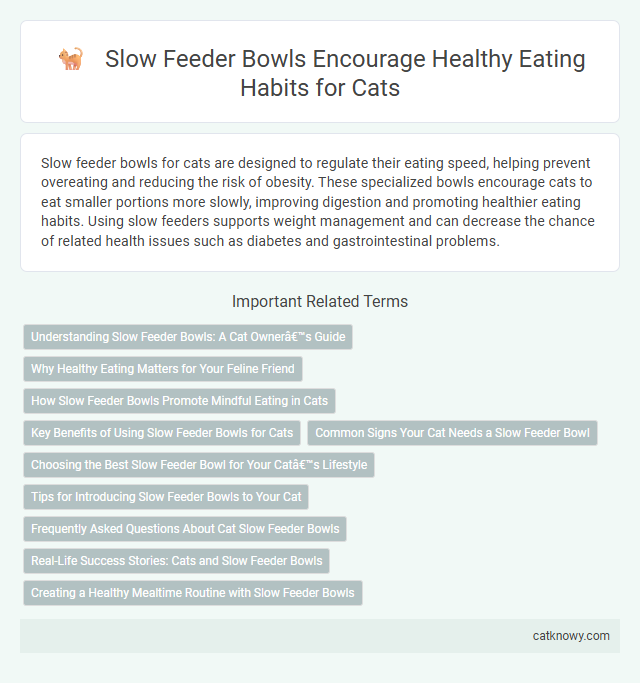 Slow Feeder Bowls Encourage Healthy Eating Habits for Cats