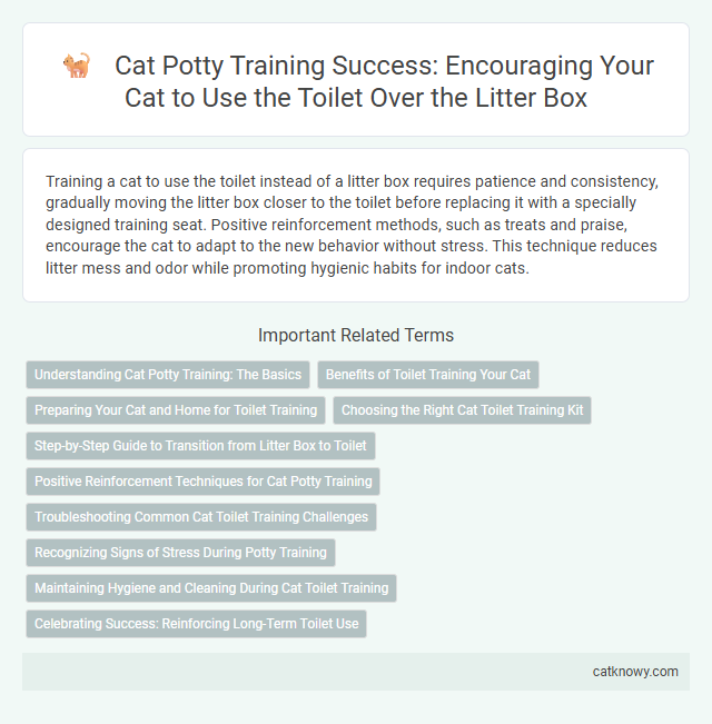 Cat Potty Training Success: Encouraging Your Cat to Use the Toilet Over the Litter Box
