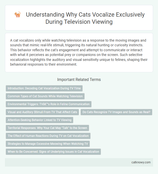 Understanding Why Cats Vocalize Exclusively During Television Viewing