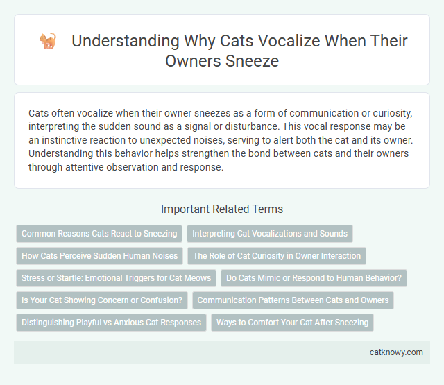 Understanding Why Cats Vocalize When Their Owners Sneeze