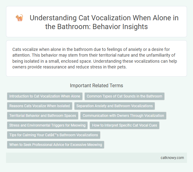 Understanding Cat Vocalization When Alone in the Bathroom: Behavior Insights
