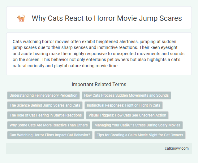 Why Cats React to Horror Movie Jump Scares