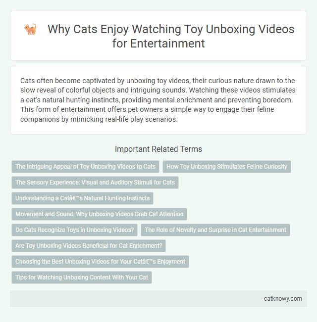 Why Cats Enjoy Watching Toy Unboxing Videos for Entertainment