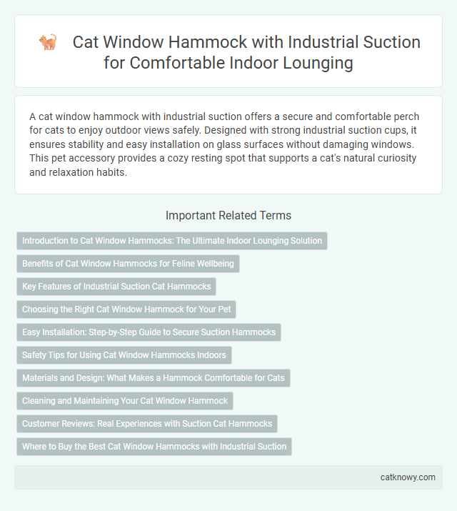 Cat Window Hammock with Industrial Suction for Comfortable Indoor Lounging