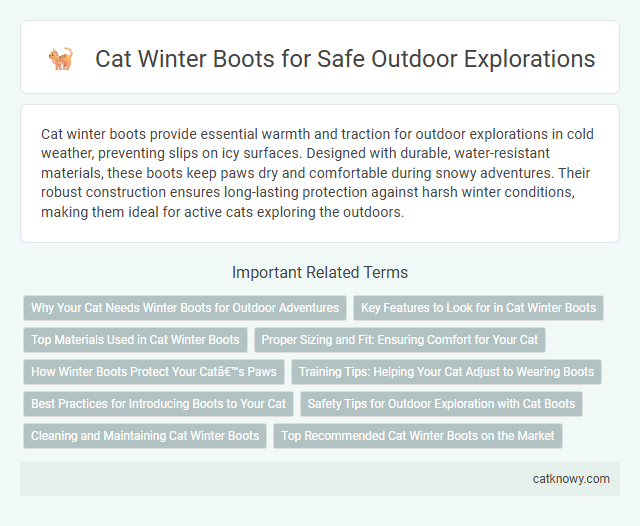 Cat Winter Boots for Safe Outdoor Explorations