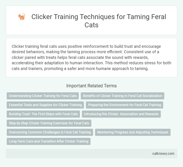 Clicker Training Techniques for Taming Feral Cats