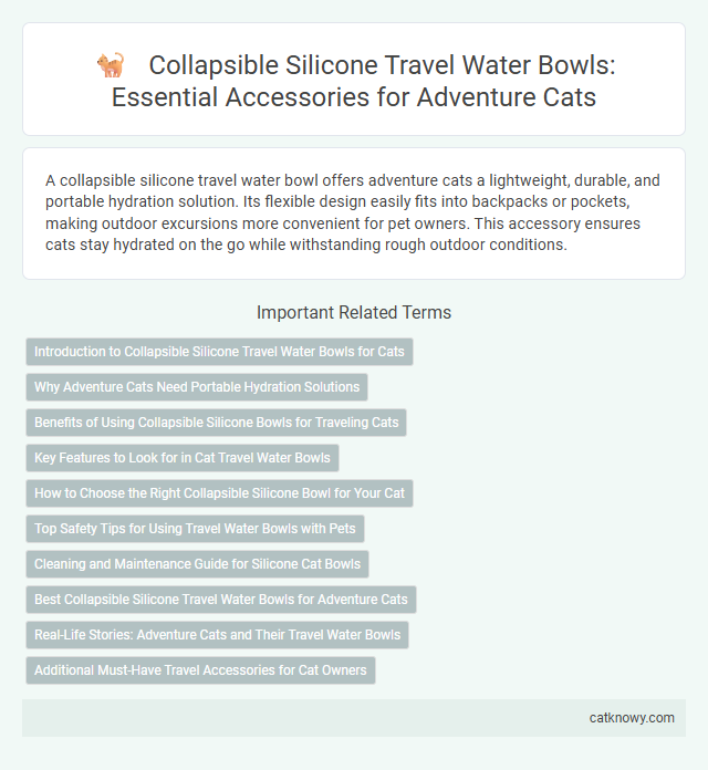 Collapsible Silicone Travel Water Bowls: Essential Accessories for Adventure Cats