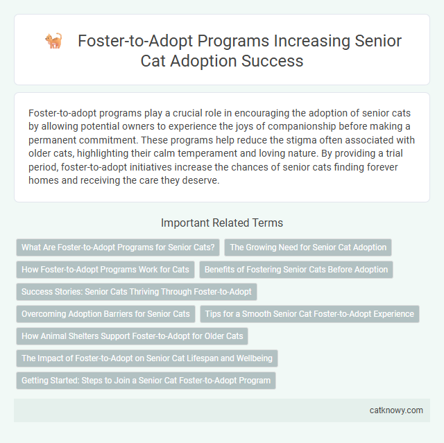 Foster-to-Adopt Programs Increasing Senior Cat Adoption Success