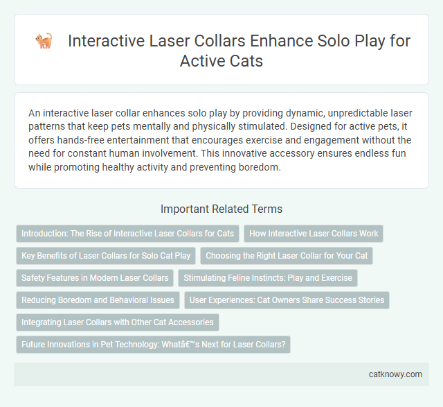 Interactive Laser Collars Enhance Solo Play for Active Cats
