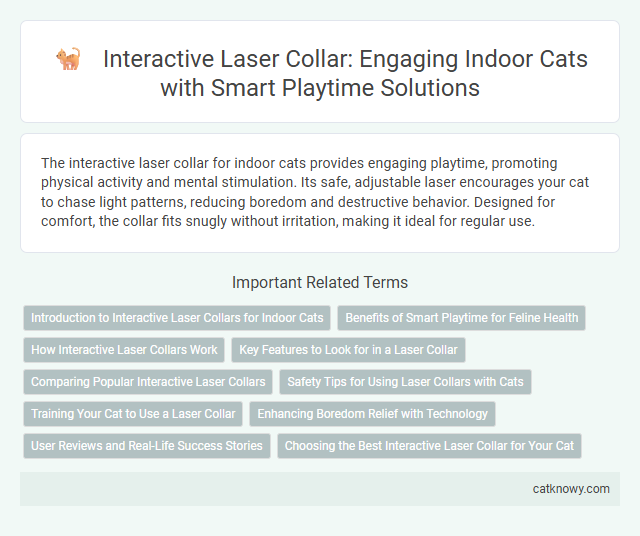 Interactive Laser Collar: Engaging Indoor Cats with Smart Playtime Solutions