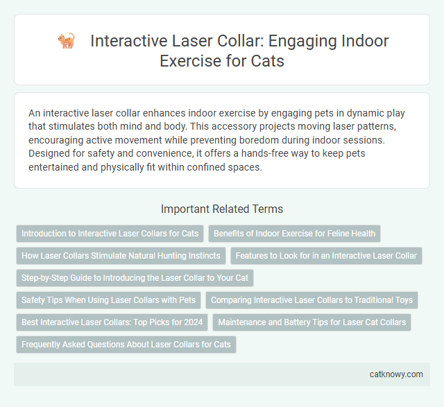Interactive Laser Collar: Engaging Indoor Exercise for Cats